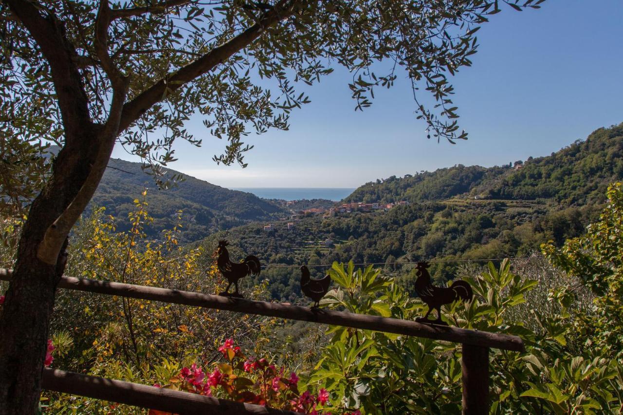 Pietrantica - Affittacamere Con Giardino Nuova Apertura A Trebiano -Citr Buitenkant foto