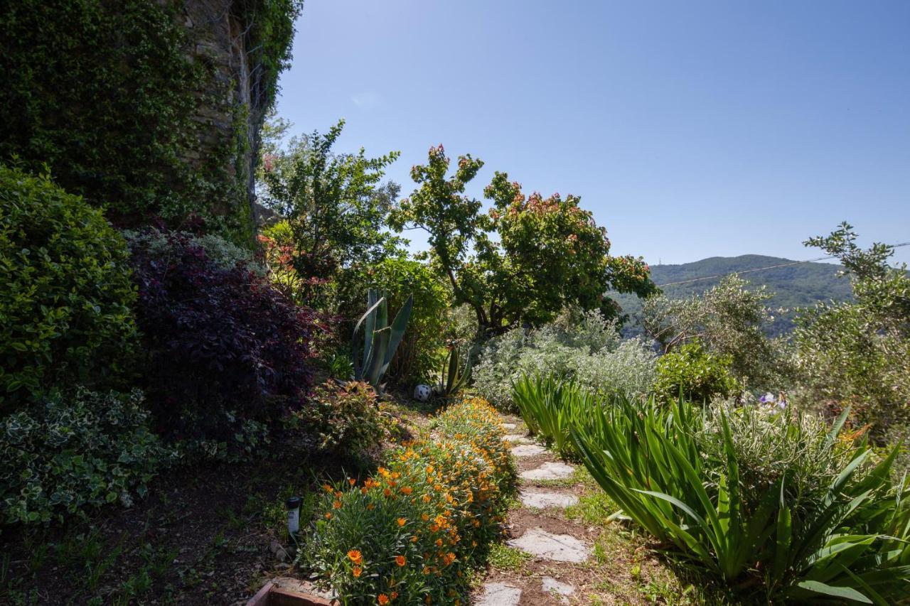 Pietrantica - Affittacamere Con Giardino Nuova Apertura A Trebiano -Citr Buitenkant foto