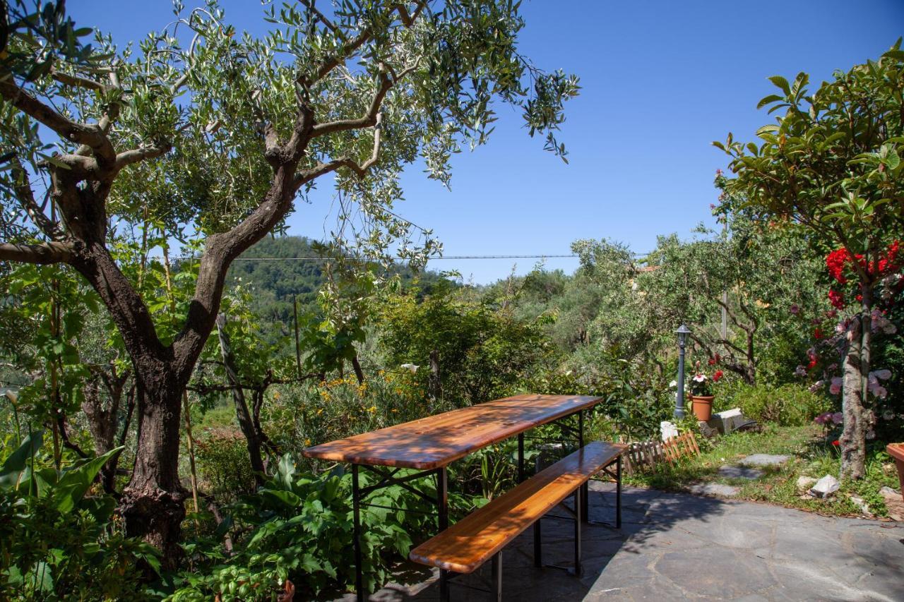 Pietrantica - Affittacamere Con Giardino Nuova Apertura A Trebiano -Citr Buitenkant foto