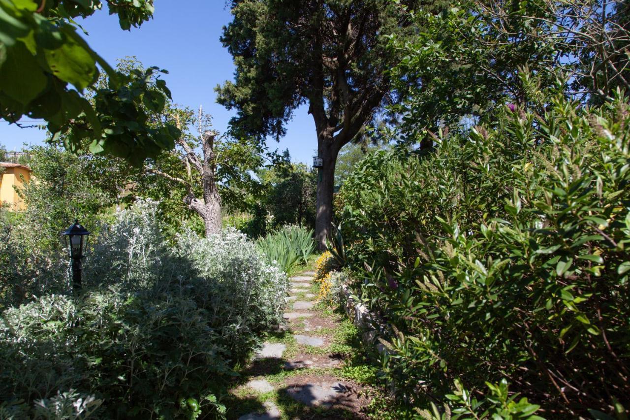 Pietrantica - Affittacamere Con Giardino Nuova Apertura A Trebiano -Citr Buitenkant foto