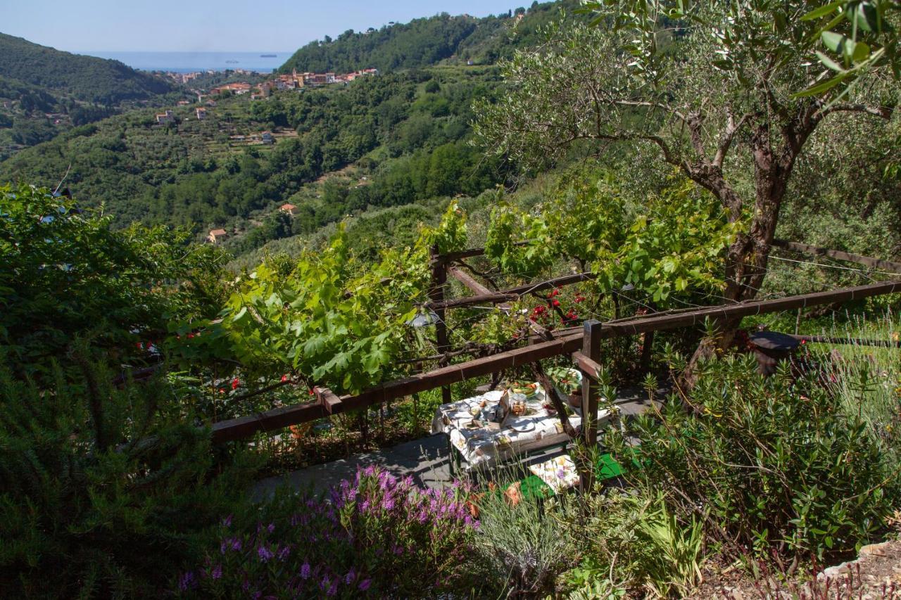 Pietrantica - Affittacamere Con Giardino Nuova Apertura A Trebiano -Citr Buitenkant foto